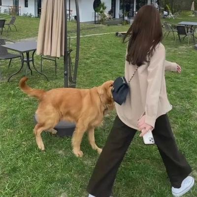 感谢生活